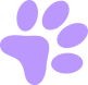 Paw-design-