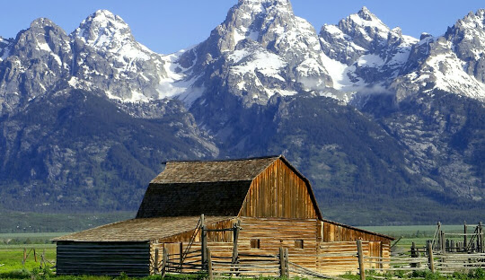 Sweet home