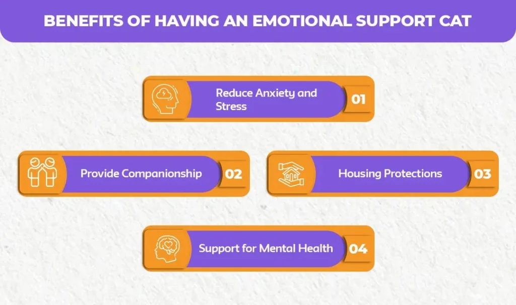 Benefits-of-Having-an-Emotional-Support-Cat