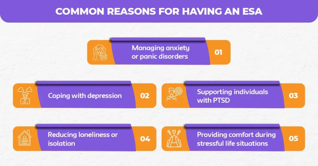 Common-Reasons-for-Having-an-ESA