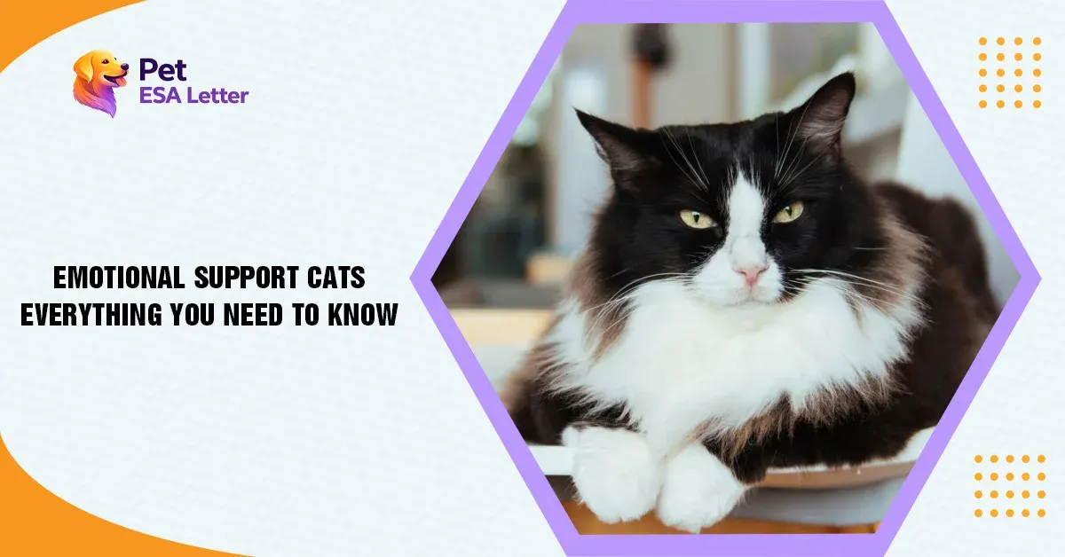 Emotional-Support-Cats