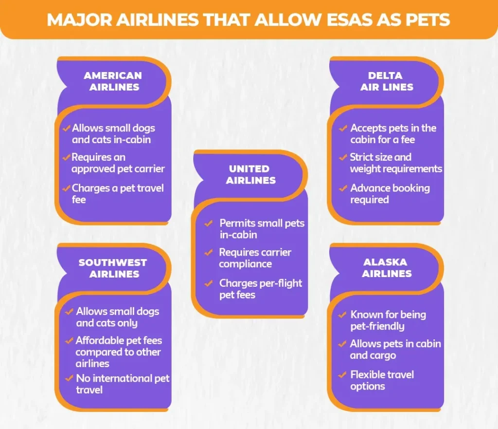 Major-Airlines-That-Allow-ESAs-as-Pets