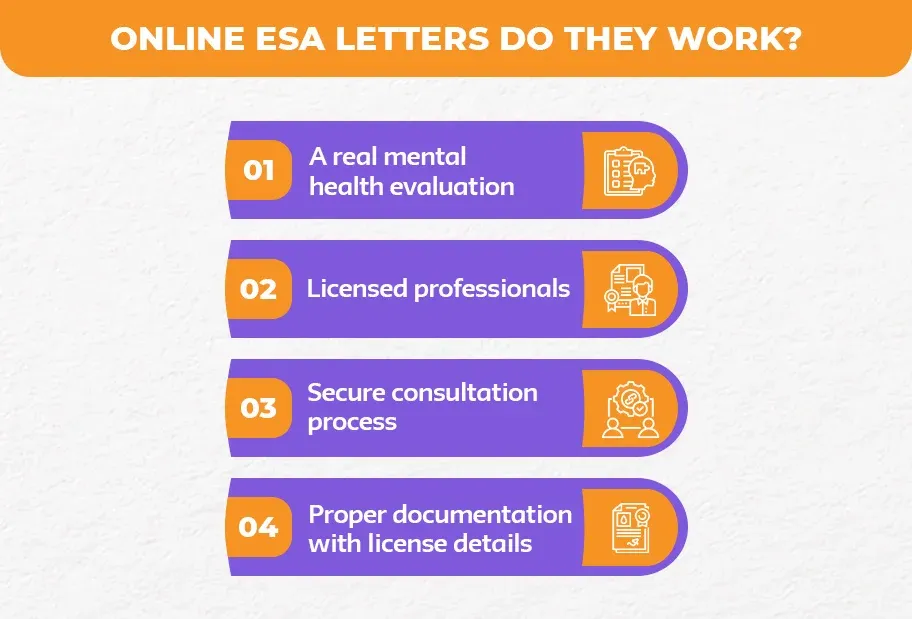 Online-ESA-Letters_-Do-They-Work