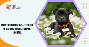 Staffordshire-Bull-Terrier