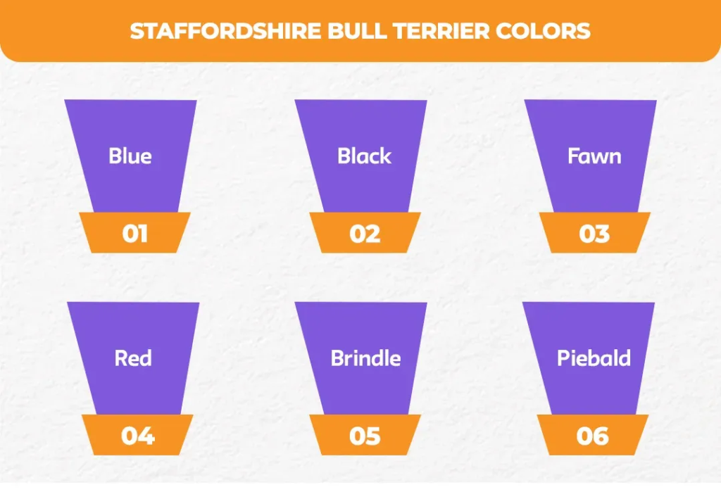 Staffordshire-Bull-Terrier-Colors