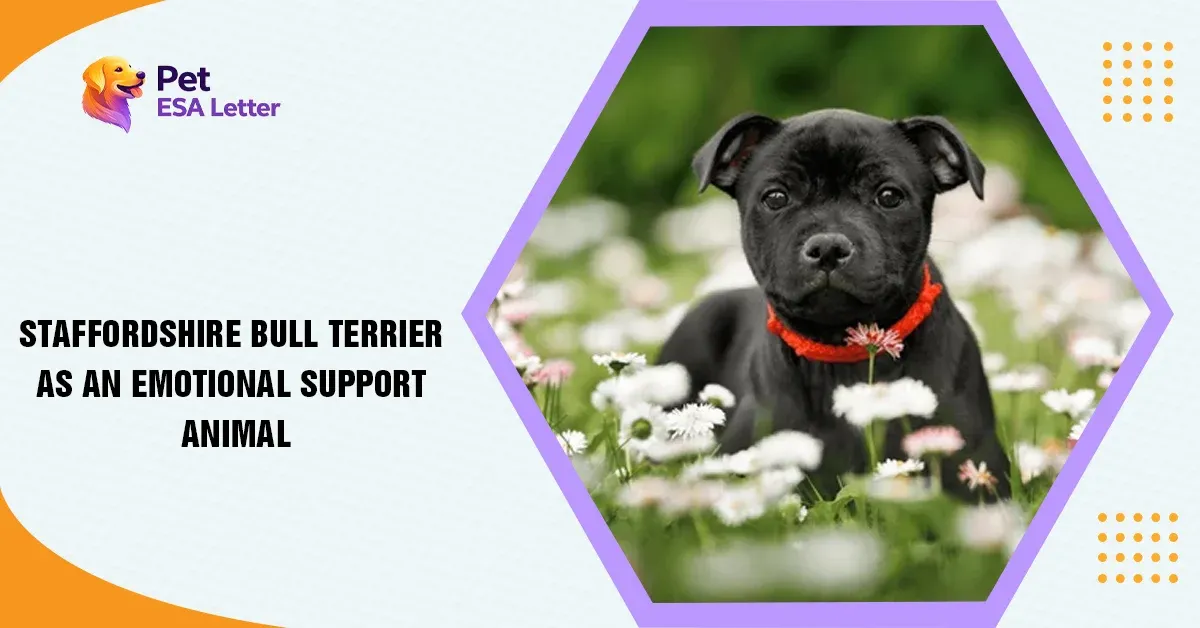 Staffordshire-Bull-Terrier