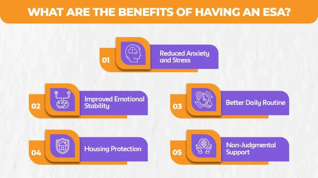 What-Are-the-Benefits-of-Having-an-ESA_