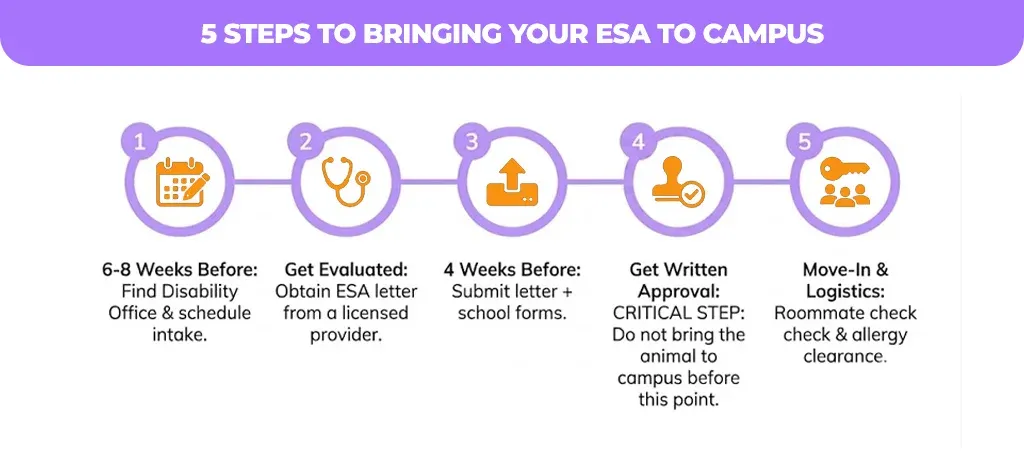 5-steps-to-bringing-your-esa-to-campus