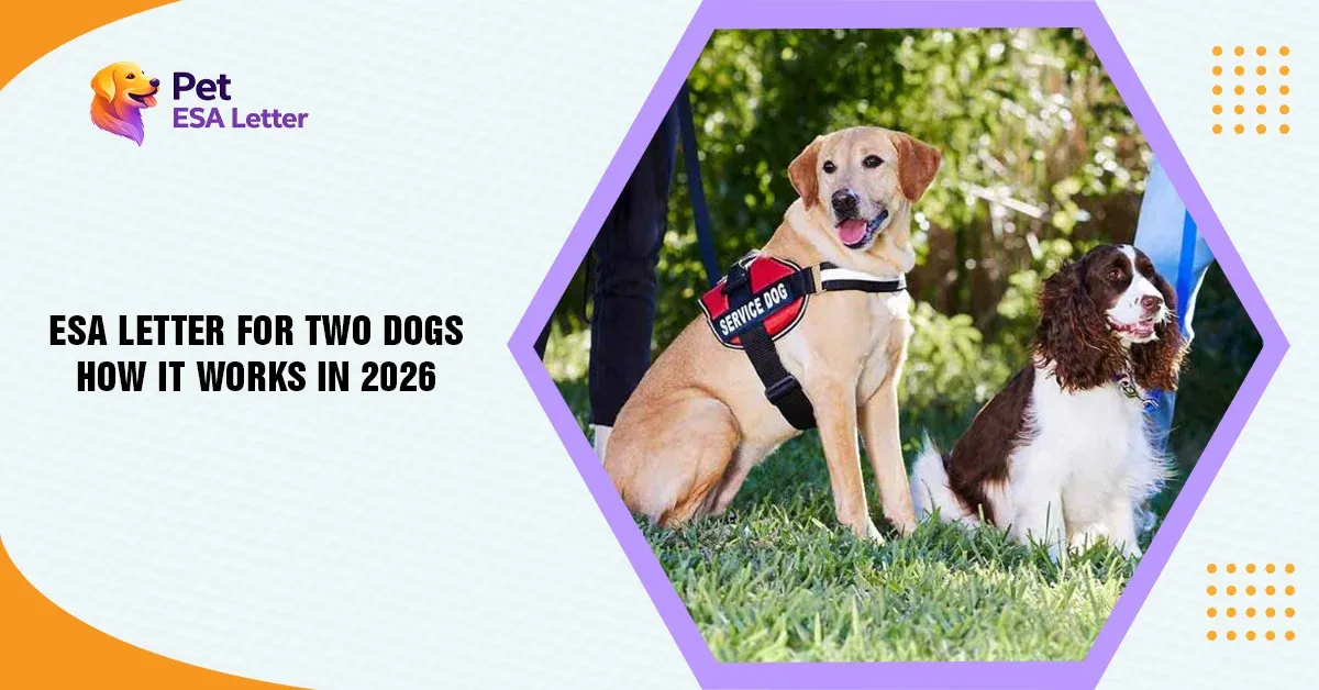 ESA Letter for Two Dogs