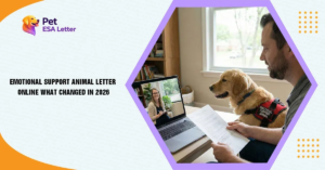 Emotional Support Animal Letter