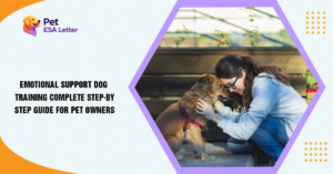 Dog Training