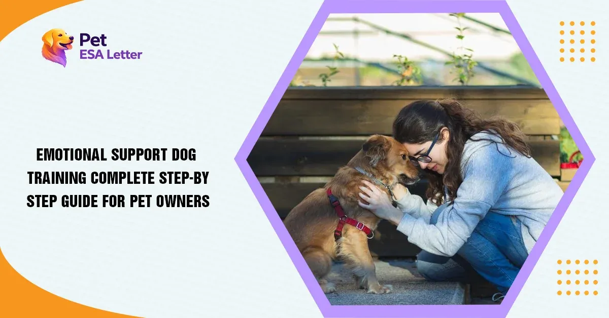 Dog Training
