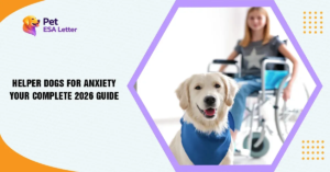 Dogs for Anxiety