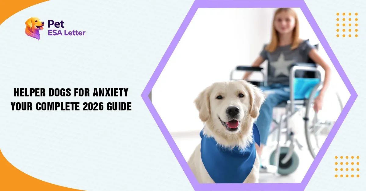 Dogs for Anxiety