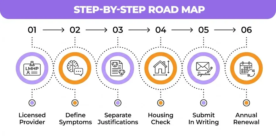 Step-by-Step Road Map