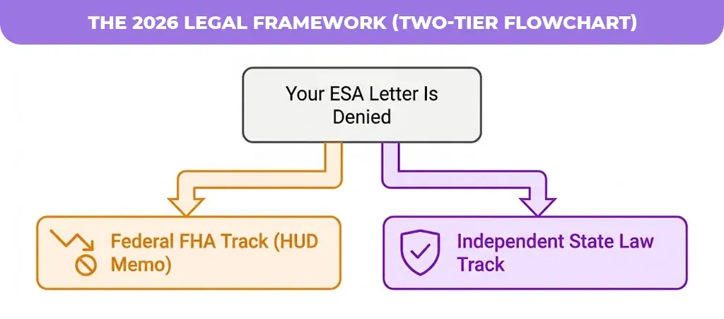 The-2026-Legal-Framework