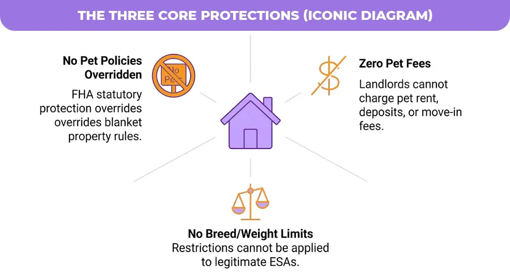 Three Core Protections