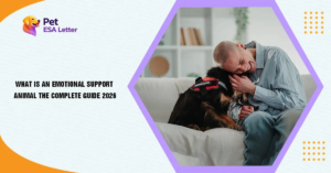 emotional support animal