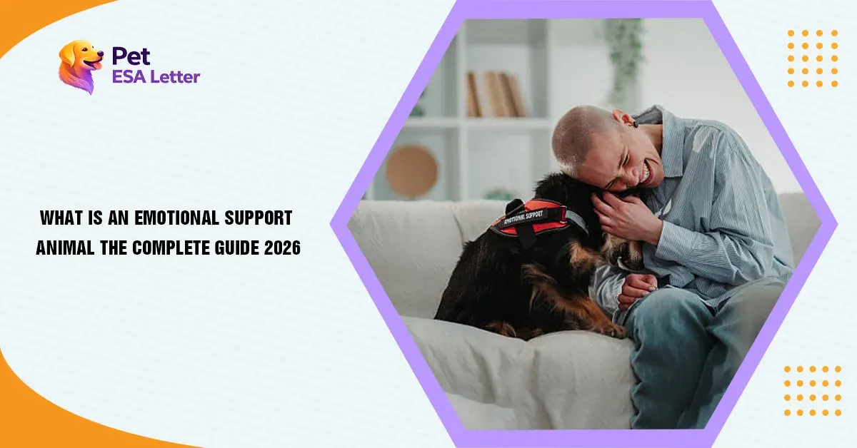 emotional support animal