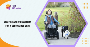 What Disabilities Qualify for a Service Dog