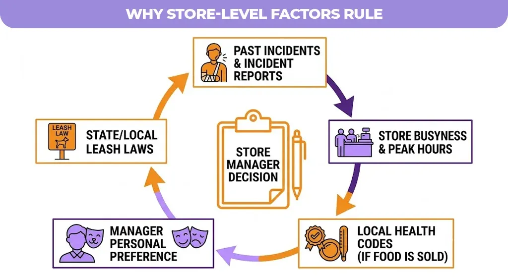 Why Store-Level Factors Rule