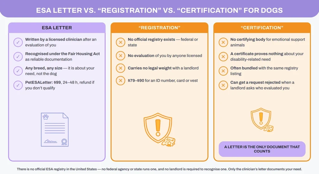 ESA letter vs registration vs certificate for dogs