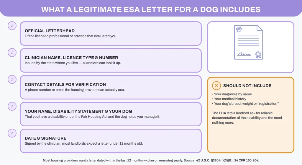What a legitimate ESA letter for a dog includes