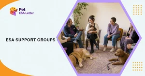 ESA Support Groups: What They Can—and Cannot Do