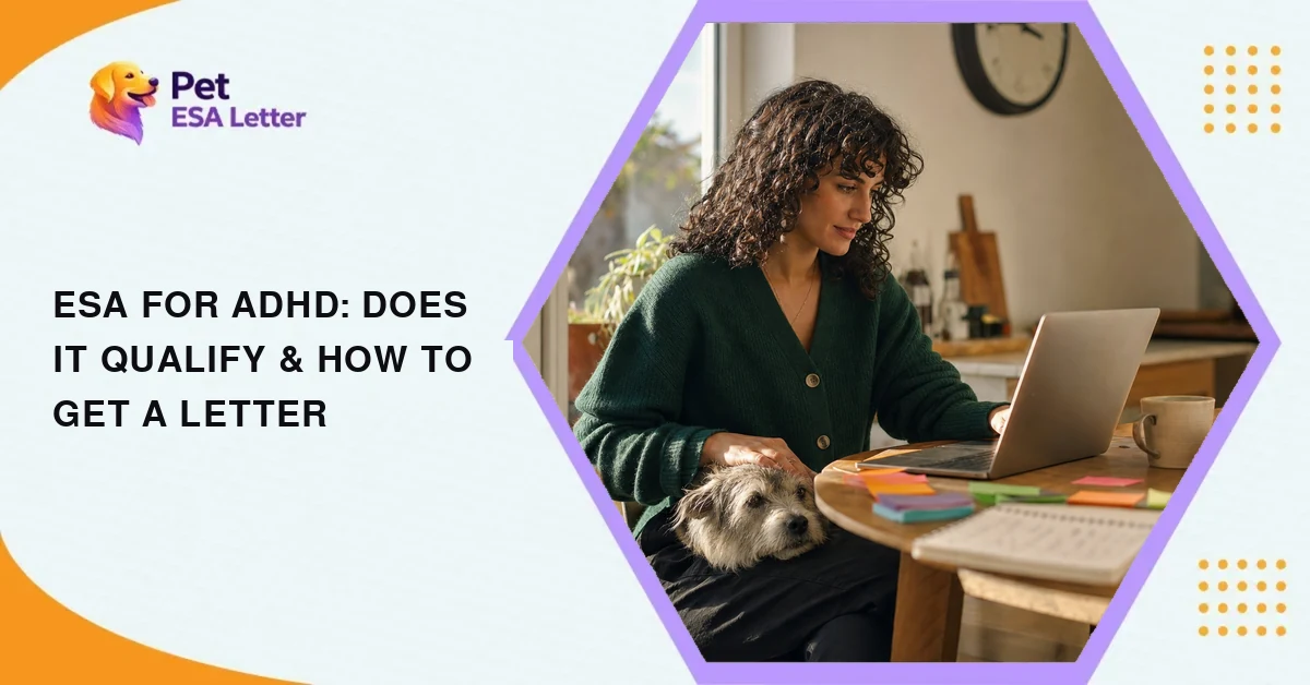 ESA for ADHD: a woman working at a kitchen table with sticky notes and a laptop, her terrier resting on her lap