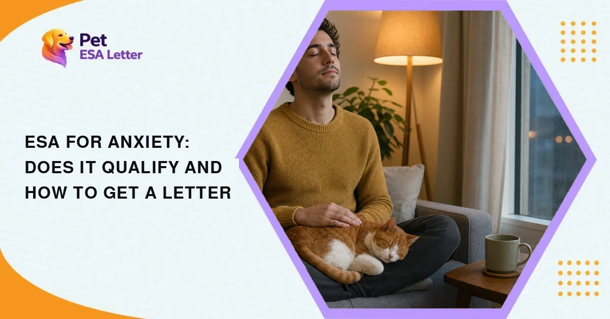 ESA for anxiety: a man sitting calmly on a sofa with his cat on his lap