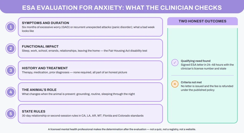 ESA evaluation for anxiety: the five things a licensed clinician checks