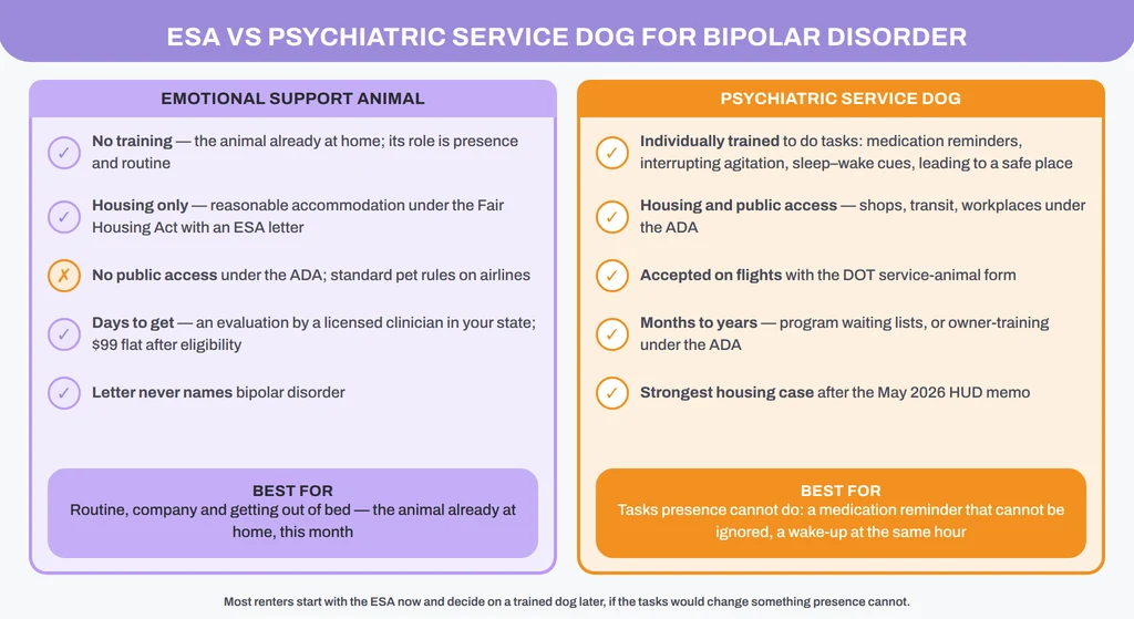 ESA vs psychiatric service dog for bipolar disorder: training, tasks, housing, public access and time to get each