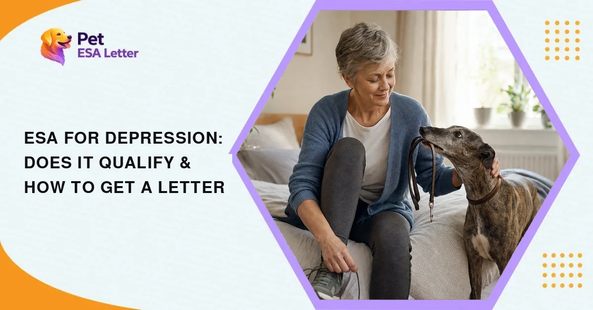 ESA for depression: a woman with short grey hair lacing her shoes on the edge of her bed while her brindle greyhound holds its own leash