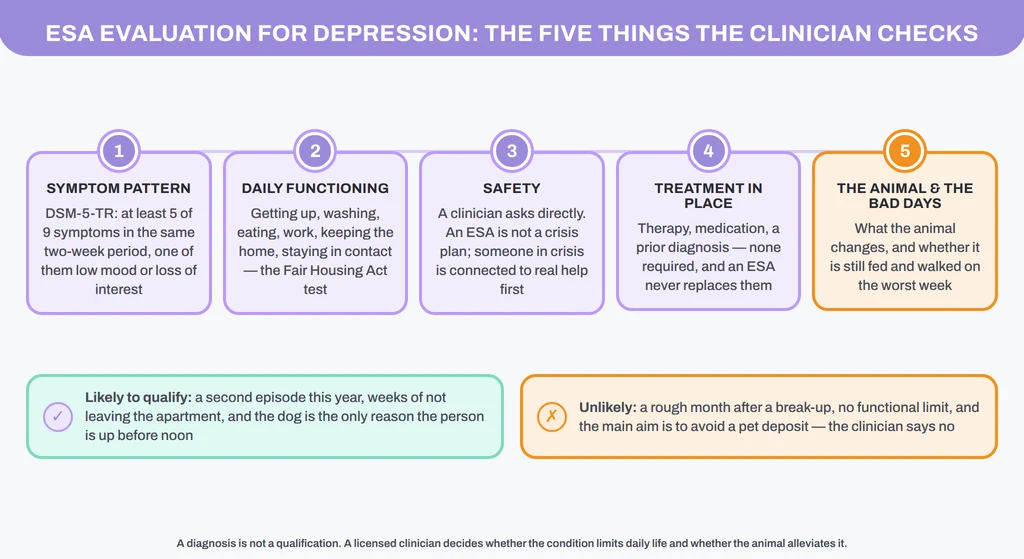 ESA evaluation for depression: the five things a licensed clinician checks, with a qualifies / does-not-qualify example
