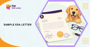 Sample ESA Letter: What a Legitimate One Includes