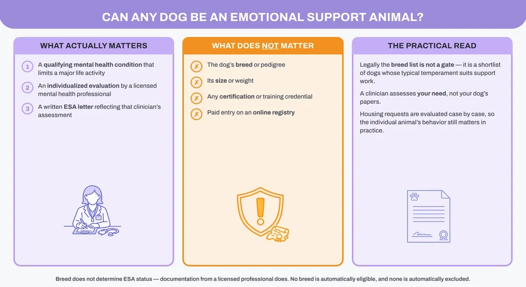 Infographic: breed does not determine ESA status, clinician documentation does