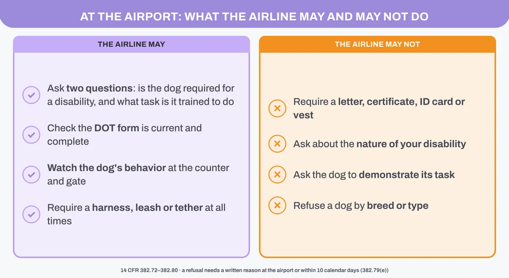 What an airline may do at the airport under 14 CFR Part 382: ask two questions, read the DOT form, watch the dog's behavior, require a harness or leash; what it may not do: demand a letter, certificate, ID card or vest, ask about the disability, or ask the dog to demonstrate its task