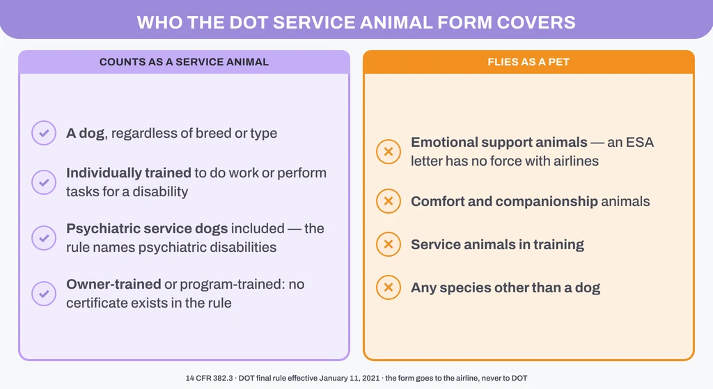 Who the DOT Service Animal Air Transportation Form covers: a task-trained dog, including a psychiatric service dog, owner-trained or program-trained; not an emotional support animal, a comfort animal, a dog in training or any other species, which fly as pets under 14 CFR 382.3
