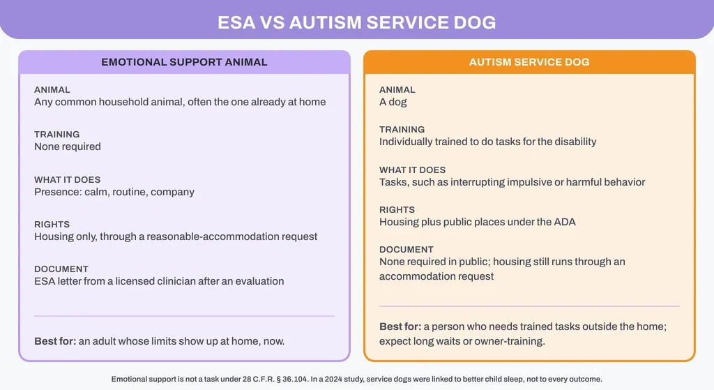 ESA vs autism service dog: animal, training, what it does, legal rights and documents compared side by side