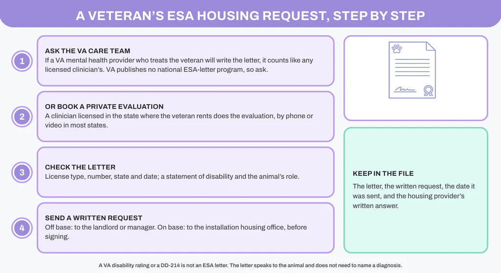 A veteran's ESA housing request in four steps: ask the VA care team, or book a private evaluation, check the letter, send a written request