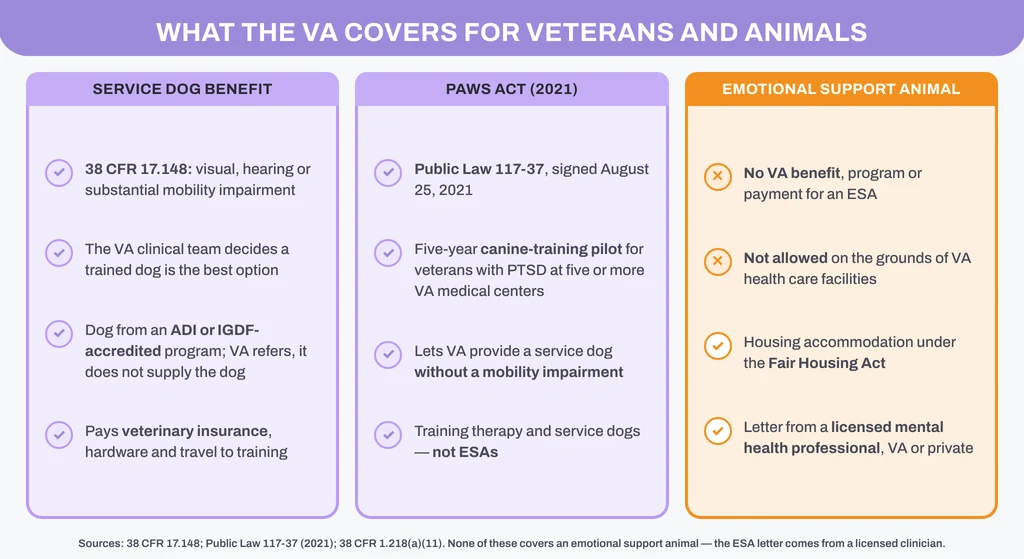 What the VA covers for veterans and animals: the 38 CFR 17.148 service-dog benefit, the 2021 PAWS Act, and no VA benefit for an emotional support animal