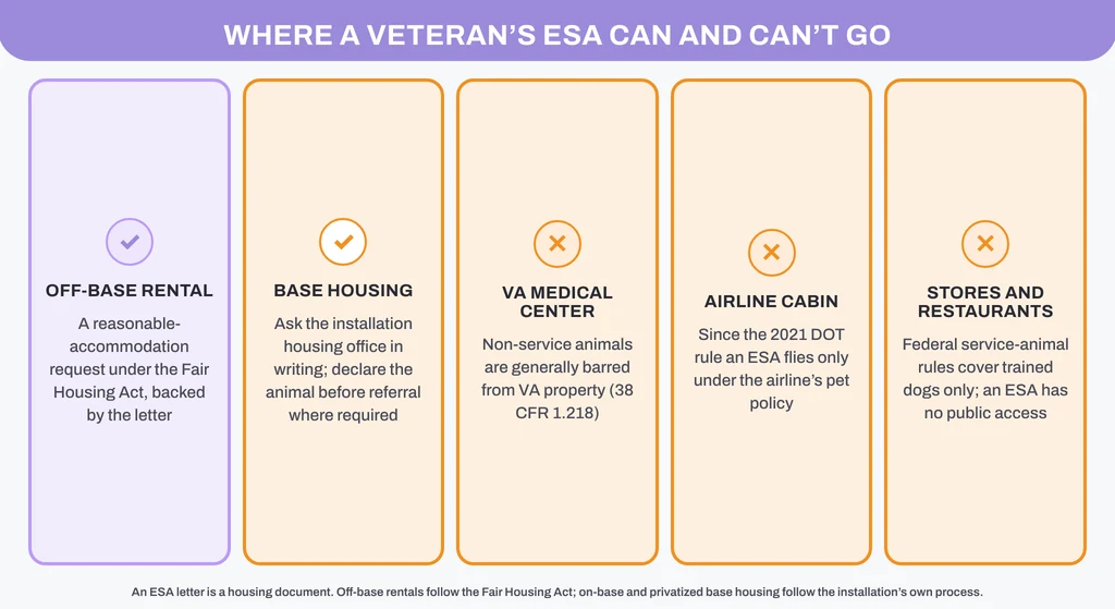 Where a veteran's ESA can and can't go: off-base rental and base housing yes, VA medical center, airline cabin and stores no