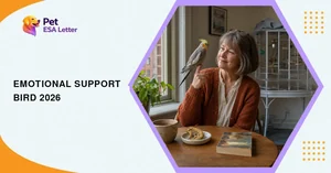 Emotional support bird: a woman in her sixties in a rust-orange cardigan smiles at a grey cockatiel perched on her finger at a window table, its flight cage on a washable mat behind her