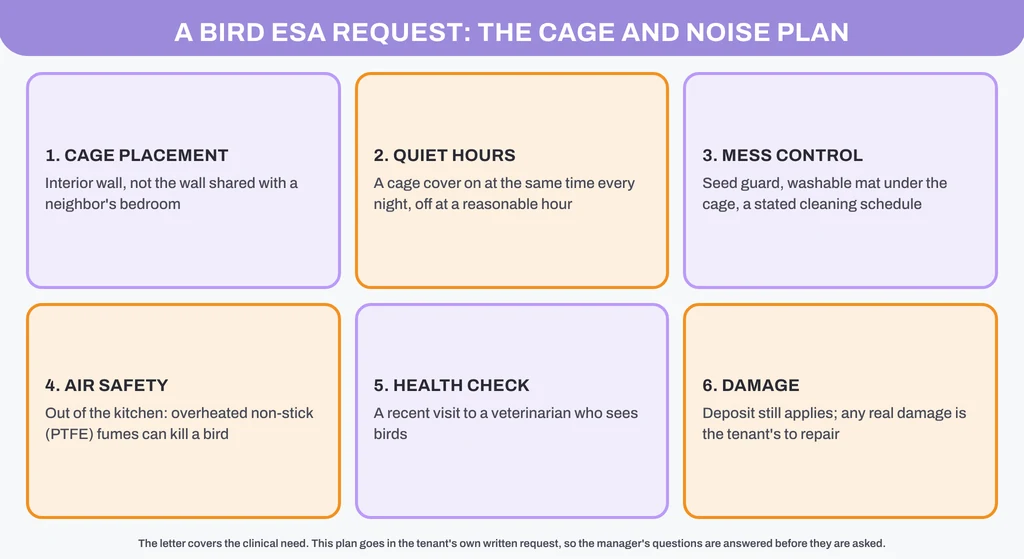A bird ESA request plan: cage placement, quiet hours, mess control, air safety, health check and damage, in six panels