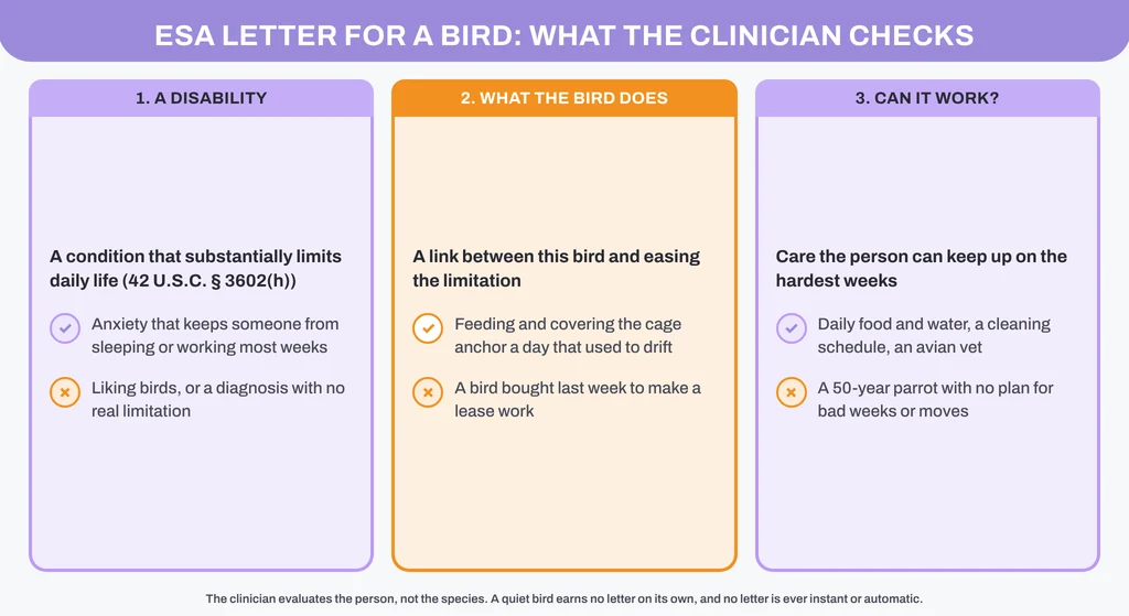 ESA letter for a bird: the three things a licensed clinician checks, with a qualifies / does-not-qualify example for each