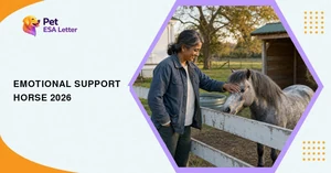 Emotional support horse: a woman in a faded denim work jacket rests her hand on a dappled grey horse across a white paddock fence behind a rented farmhouse