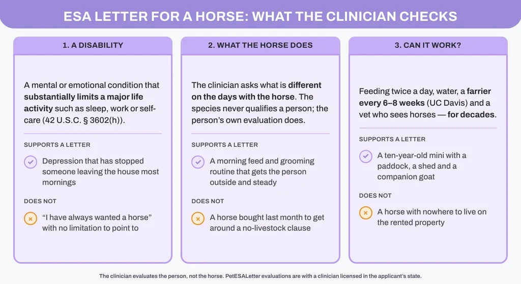ESA letter for a horse: the three things a licensed clinician checks, with a supports / does-not-support example for each