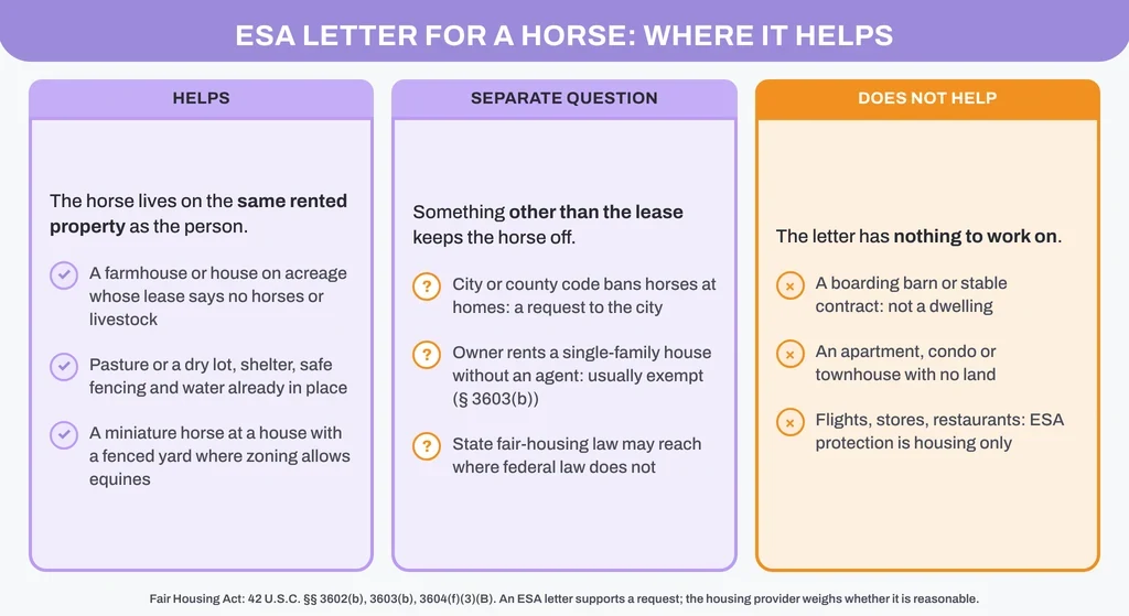 ESA letter for a horse: where it helps (a rented home with land), where it is a separate question (zoning, exempt owners, state law) and where it does not help (boarding barns, apartments, flights)