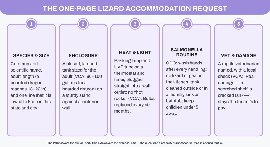 The one-page lizard accommodation request: species and adult size, a latched enclosure on a stand, heat and UVB on a thermostat, the CDC Salmonella routine, a reptile veterinarian and damage that stays with the tenant