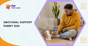 Emotional support rabbit: a young man sits cross-legged on the floor of a sunny studio apartment, hand-feeding hay to a brown-and-white lop-eared rabbit beside its exercise pen